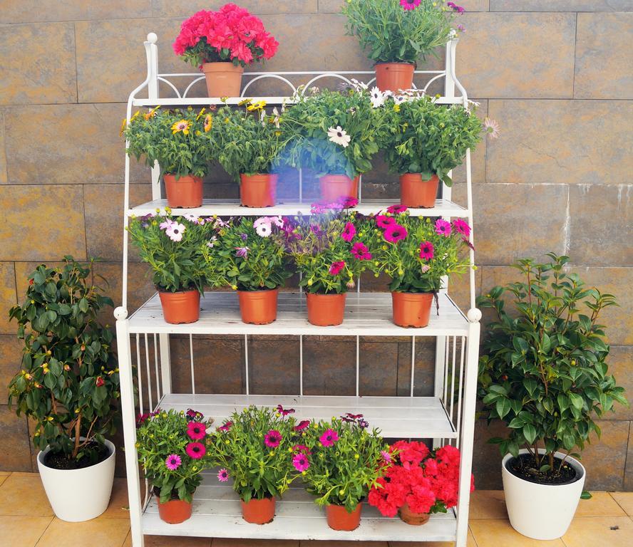 Апартаменты Mi Patio Торевьиа Экстерьер фото